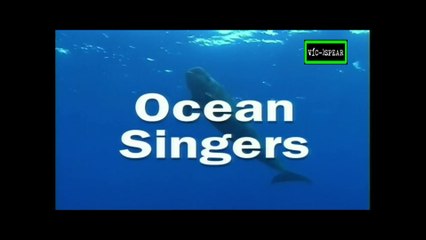 Historias del Mar: Cantores del Mar - Documental (1998) Español Latino - Episodio 2
