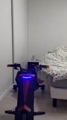 Découvrez La Véritable Reine de La Flemme 💤