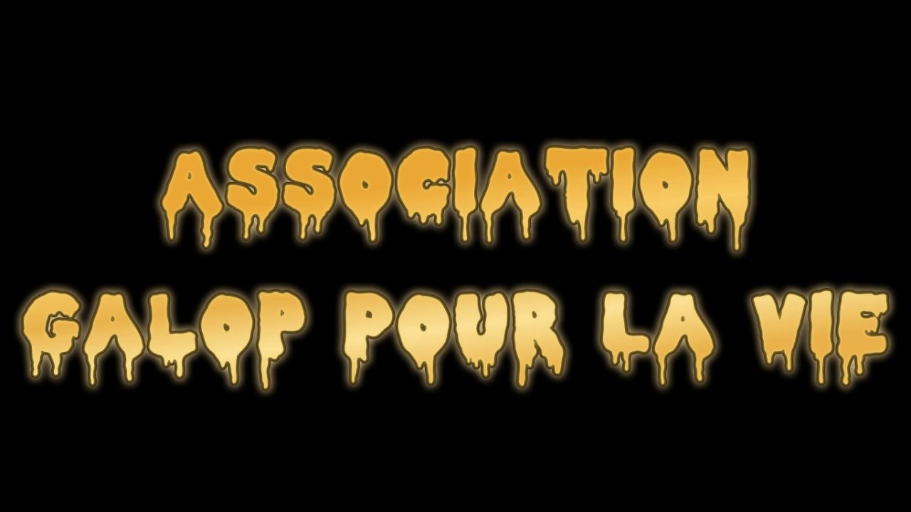 Asso Galop Pour La Vie