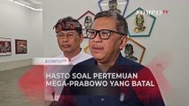 Hasto PDIP Soal Kondisi Megawati, Kader PDIP di Kabinet Prabowo hingga Pertemuan dengan Prabowo