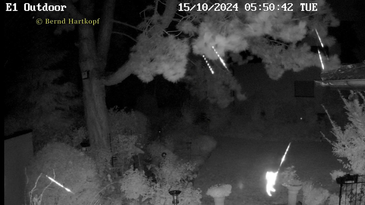 Eine Spinne baut ihr Netz