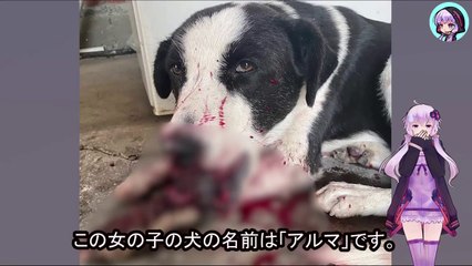 アゴが砕け、傷だらけのまま放置された姿を見ても、立ち止まり助ける人は誰一人いませんでしたEven though they saw him left with his jaw broken and covered in wounds, no one stopped to help him.