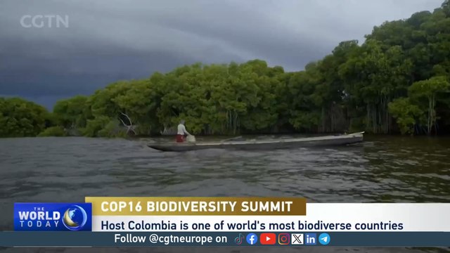 Nature survival in peril as Colombia hosts COP biodiversity summit