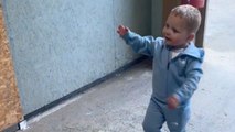 Toddler's reaction to a goat sneezing on his head is PRICELESS!