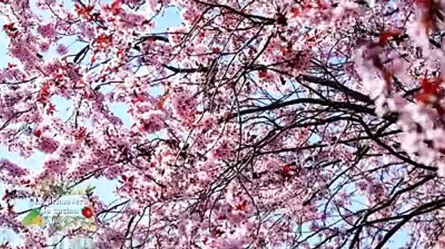 Il libro con le ricette della primavera in regalo con il Centro