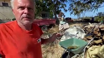 Incendio a Silvi, le fiamme minacciano le case