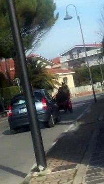 Pescara, cavallo al trotto traina una biga in via Celommi