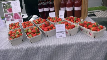 Groß-Enzersdorf  Besuch  am Frische Markt