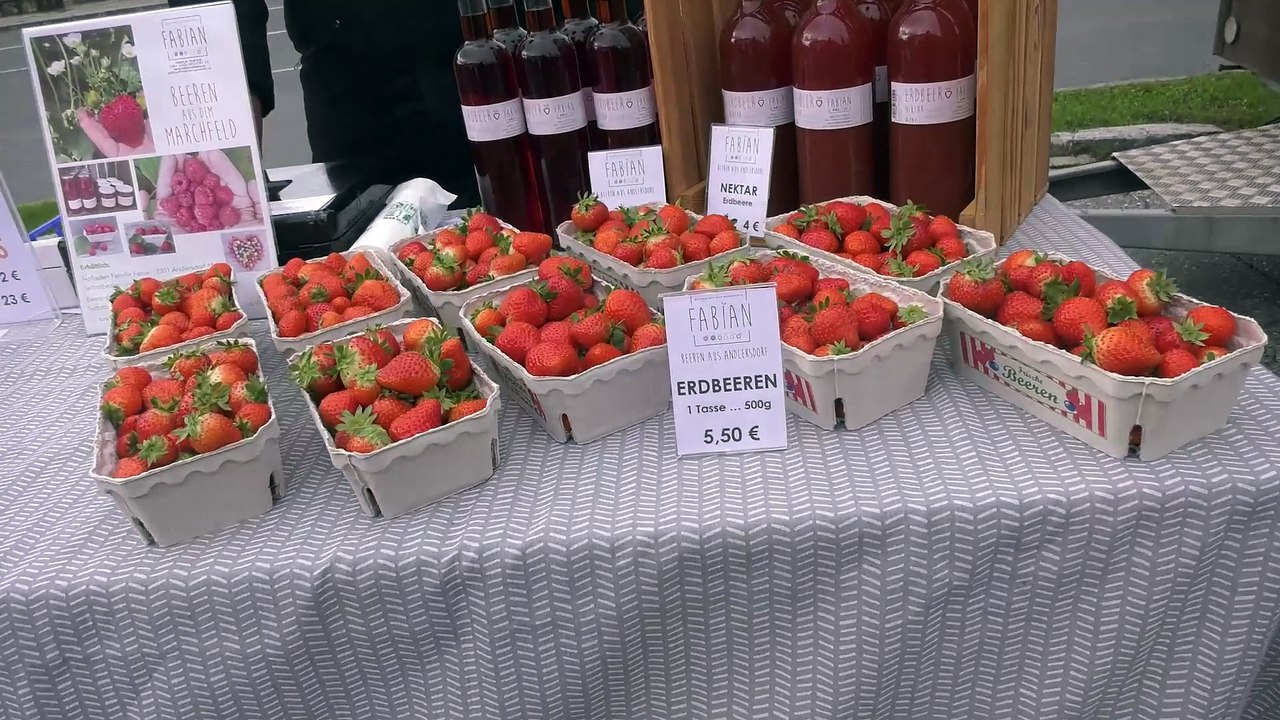 Groß-Enzersdorf  Besuch  am Frische Markt