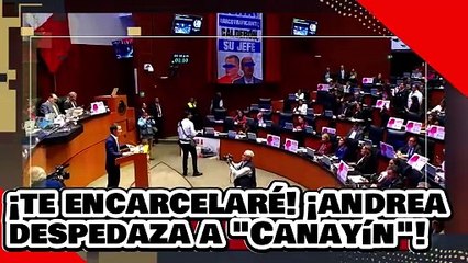 ¡VE! ¡Te encarcelaré! ¡Andrea despedaza a ‘Ricky Riquín Canayín’ por defender a Genarko García Luna!