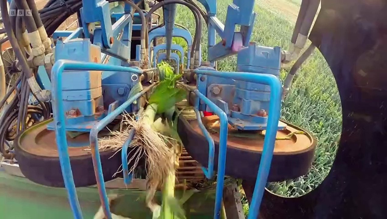 Countryfile - Autumn Harvest