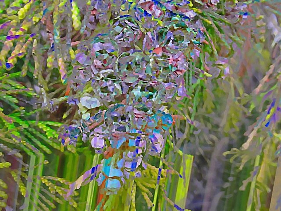 Photos numériques artistiques N°1 _ Diem Nancy