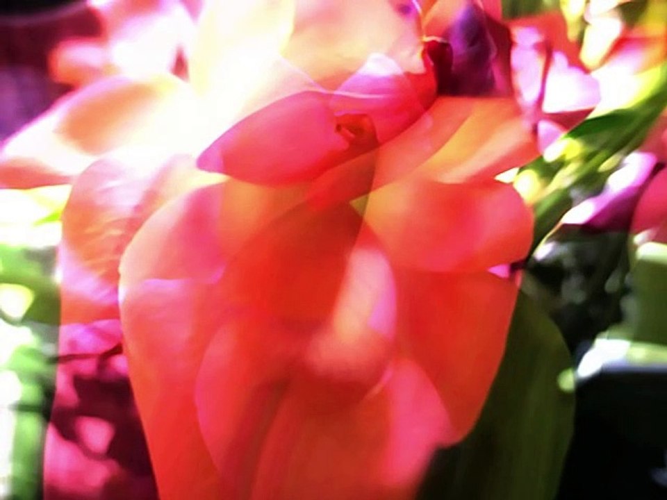 Photos numériques artistiques N°4 _ Diem Nancy