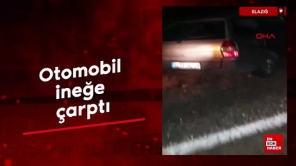 Elazığ'da otomobil ineğe çarptı