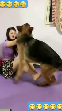 dog enjoying my fresh meat tonight _funny _dailymotion _funny animals _funny_animal #short