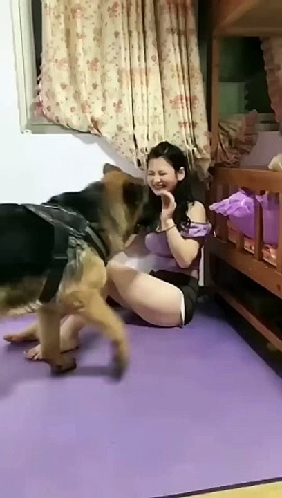 perfect shot with cute puppy_funny _smart dog _funny animals _funny_animal #short