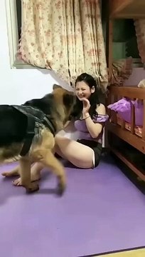 perfect shot with cute puppy_funny _smart dog _funny animals _funny_animal #short