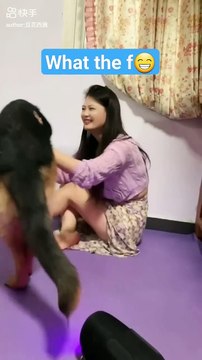 This dog behavior like human _funny _dailymotion _funny animals _funny_animal #short