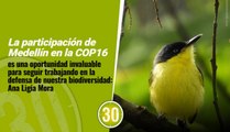 Medellín es sede satélite de la COP16, la cumbre global sobre biodiversidad