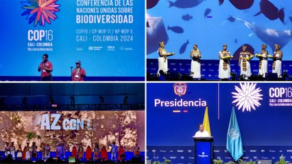 Así fue la inauguración de la COP16 en Cali: artistas, comunidades y naturaleza