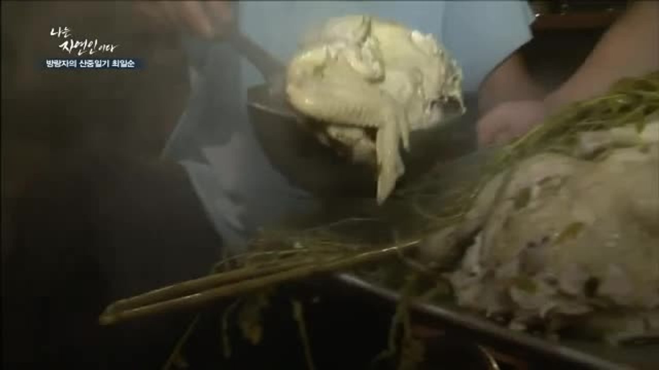 [나는 자연인이다 52회] 방랑자, 자연인이 되다 최일순