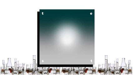 05 Borby Norton - t e s t i f y v e