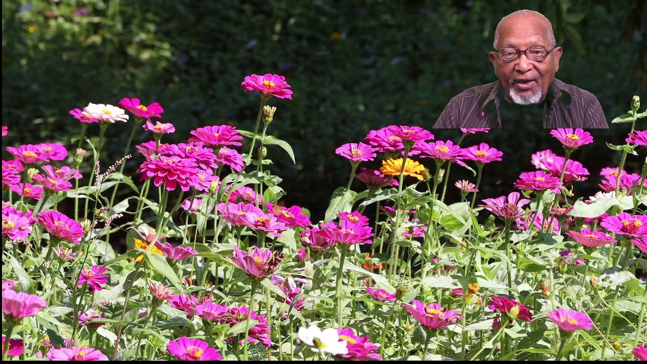 Create Your own Church