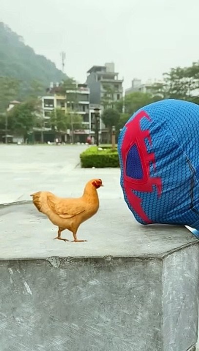 Spiderman EATS a Hen, Duck, and Pigeon, THEN Spits Them Out ONE BY ONE?