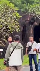 นักท่องเที่ยวยิงหนังสติ๊กในสวนสัตว์เขาเขียว 🐾