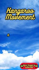 Animal Facts        Kangaroo Movement          #shorts