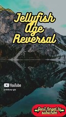 Animal Facts        Jellyfish Age Reversal          #shorts