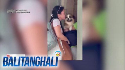 Asong si Happy, nalungkot nang umalis ang kaniyang fur mom | Balitanghali