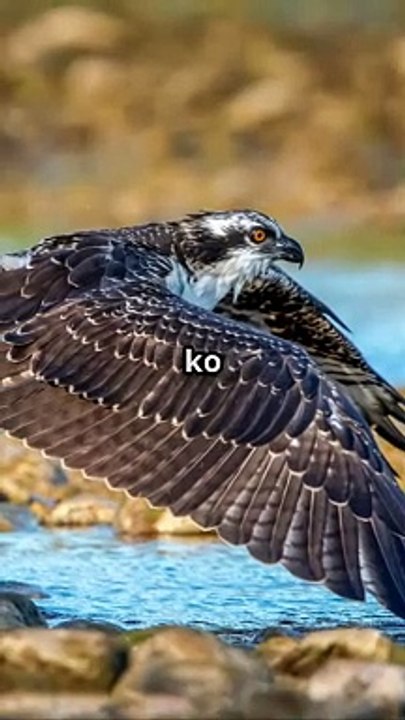 Sure! If you provide me with the main topic or content of your video along with relevant tags, I can help you create an engaging title. Please share the details!