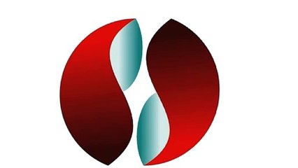 Designing a Sleek and Modern Logo for Branding