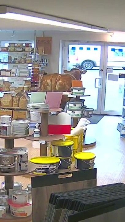 That's not how you should treat your customer