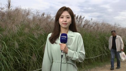 [날씨] 내일 전국 가을비...전남·영남·제주 장대비 쏟아진다 / YTN