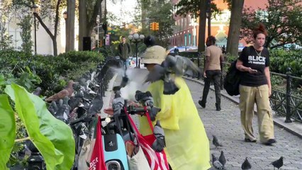 Home Alone 2 Lost in New York Pigeon Lady in Real Life - USa, France, Europe , India PAk