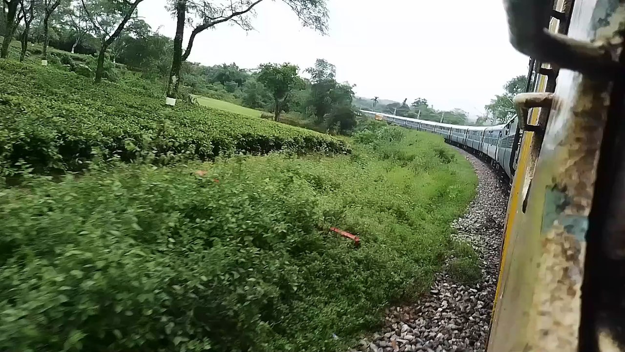 VID_20240729_094433