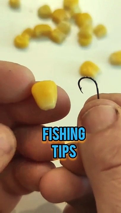 Fishing technique