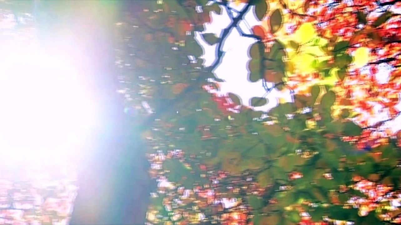 BBC_Kew The Garden that Changed the World video Dailymotion