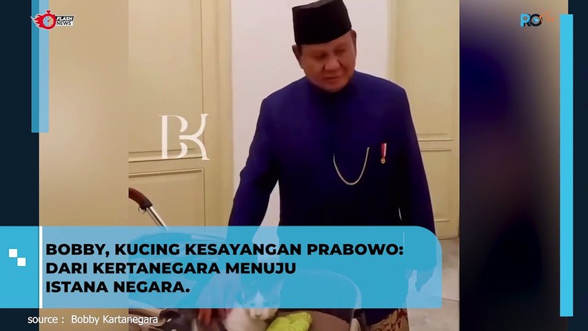 Bobby Kertanegara Pindah Ke Istana