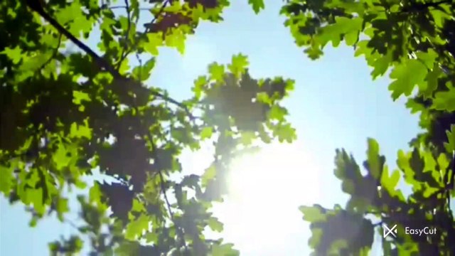 Natura video with song, #Nature #video #song