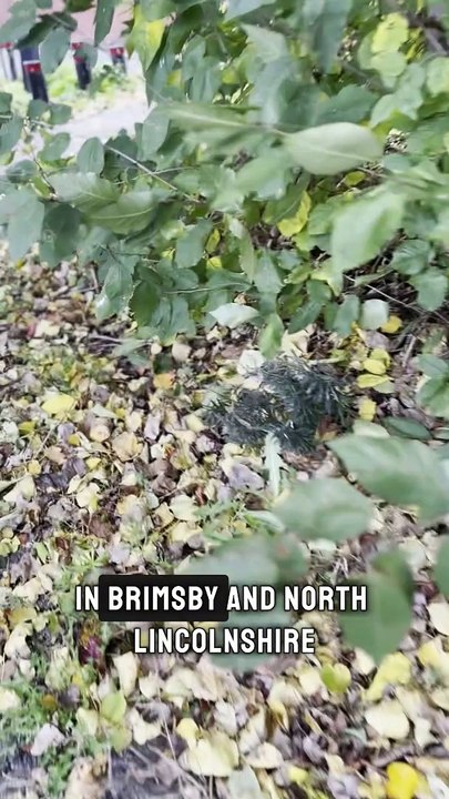Storm Ashley: Residents warned to 'move possessions' with flood warnings in place in Yorkshire