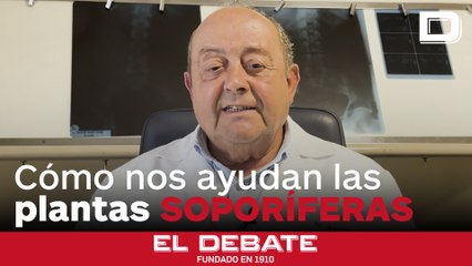 Los beneficios de las plantas soporíferas para nuestro cuerpo, con el doctor Abascal