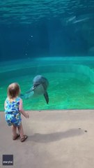 Little girl and super social dolphin stop to have a sweet chat _ Humankind #shorts #goodnews