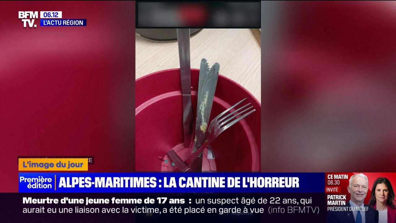 Insectes dans la nourriture, couverts sales... des parents dénoncent l'insalubrité de la cantine du Centre International de Valbonne