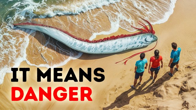 Warning Signs That Could Save Your Life Before Disaster Strikes