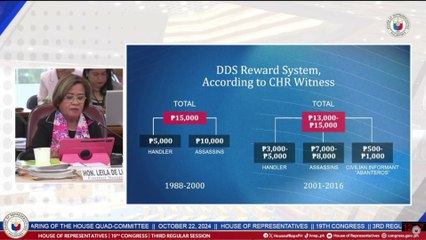 Leila de Lima reveals the reward system of alleged Davao Death Squad | GMA Integrated News