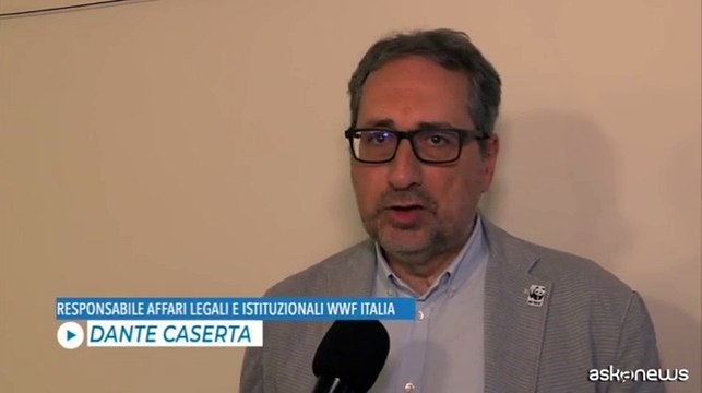 Caserta, WWF: Packaging incide su questioni ambientali