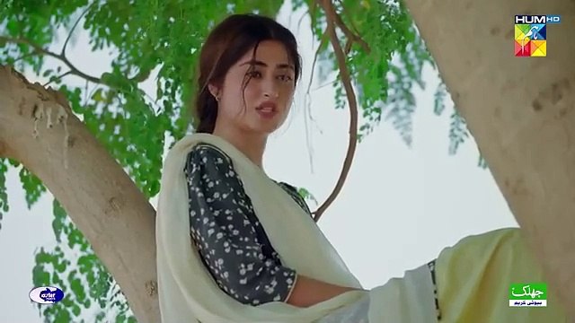 Zard Patton Ka Bunn - 2nd Last Ep 24 [CC] 20 Oct 24 - Sponsor By Master Paints & Jhalak Beauty Cream